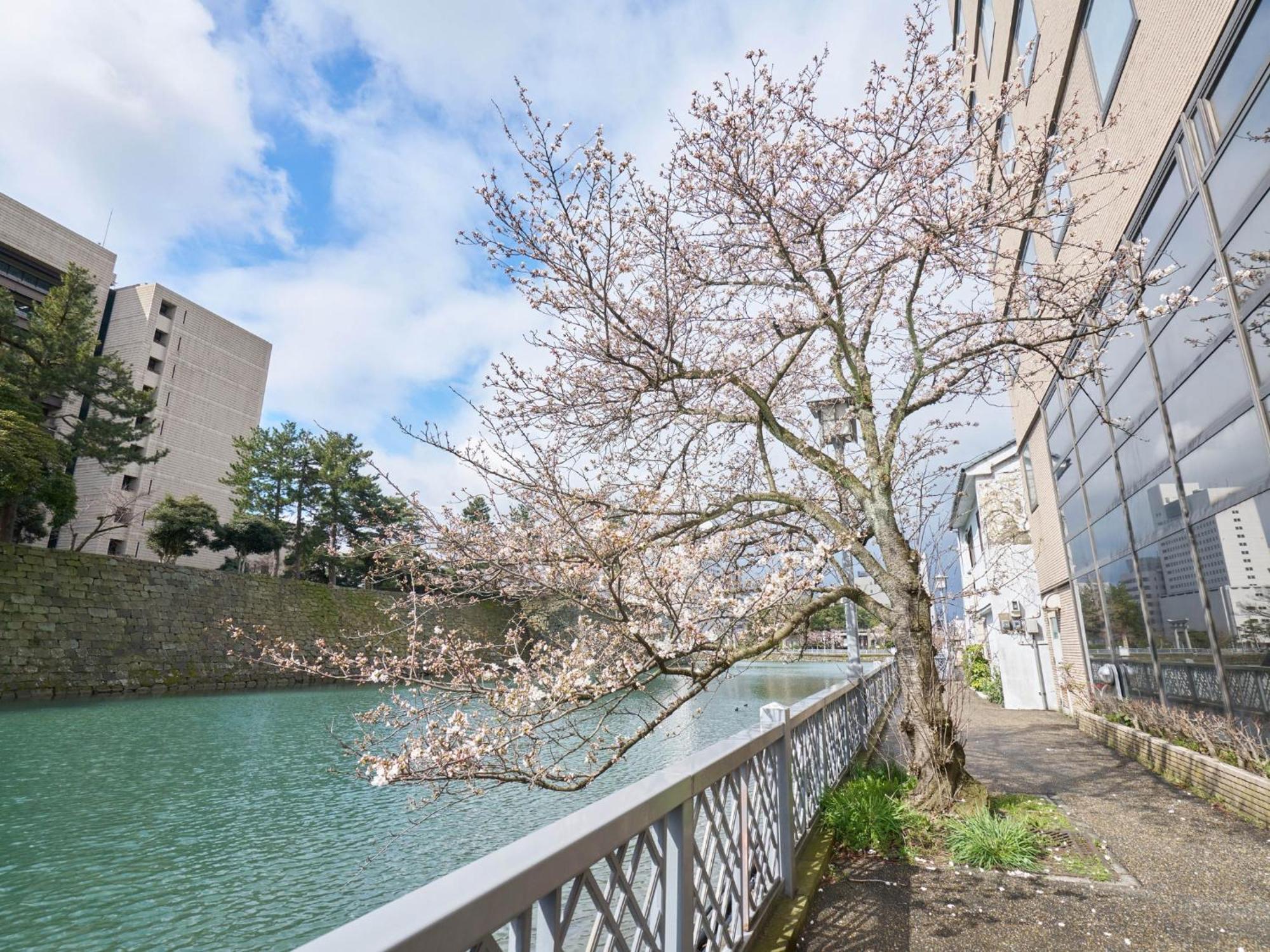 Hotel Fukui Castle - Vacation Stay 58696V Eksteriør billede