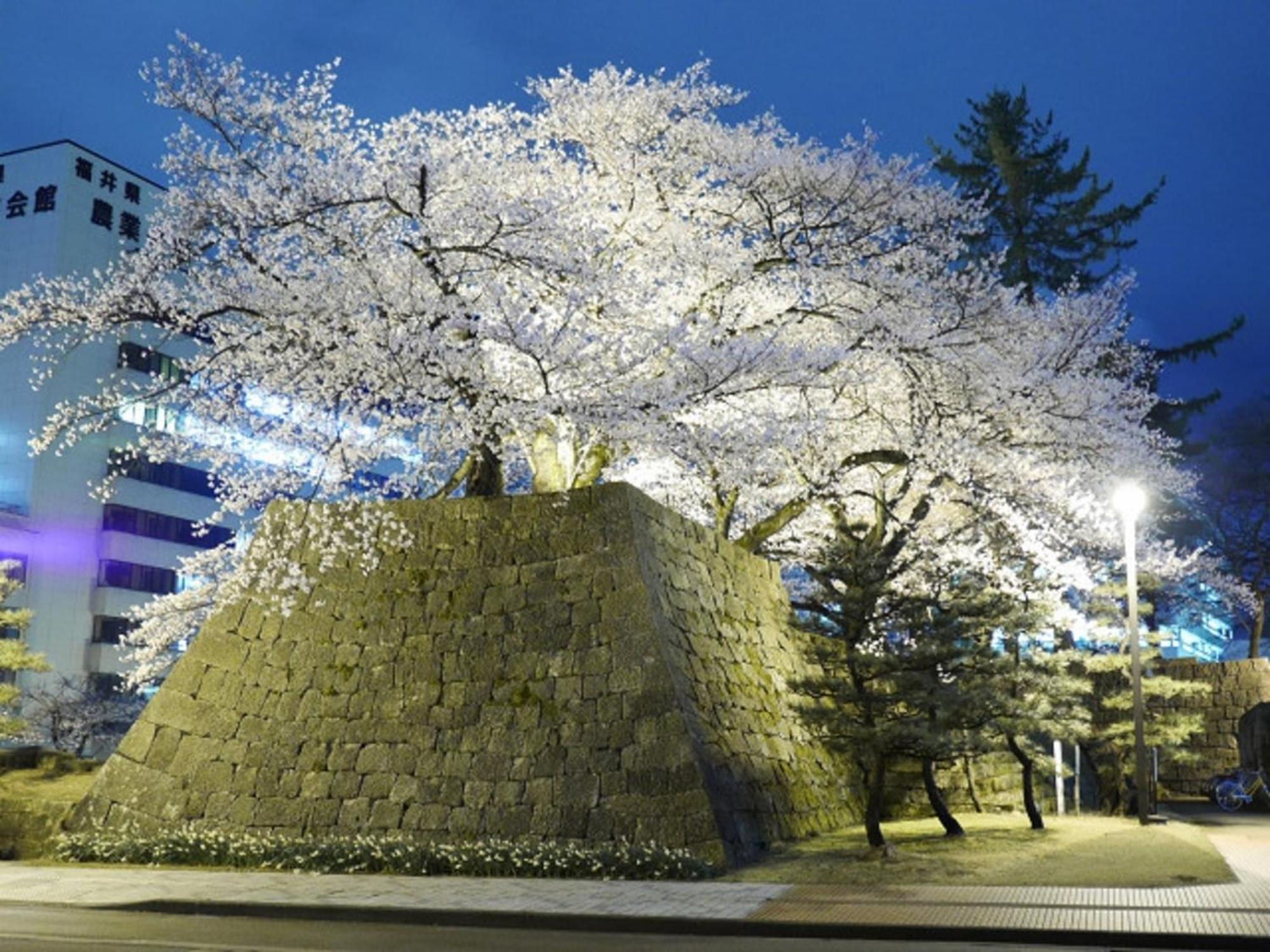 Hotel Fukui Castle - Vacation Stay 58696V Eksteriør billede