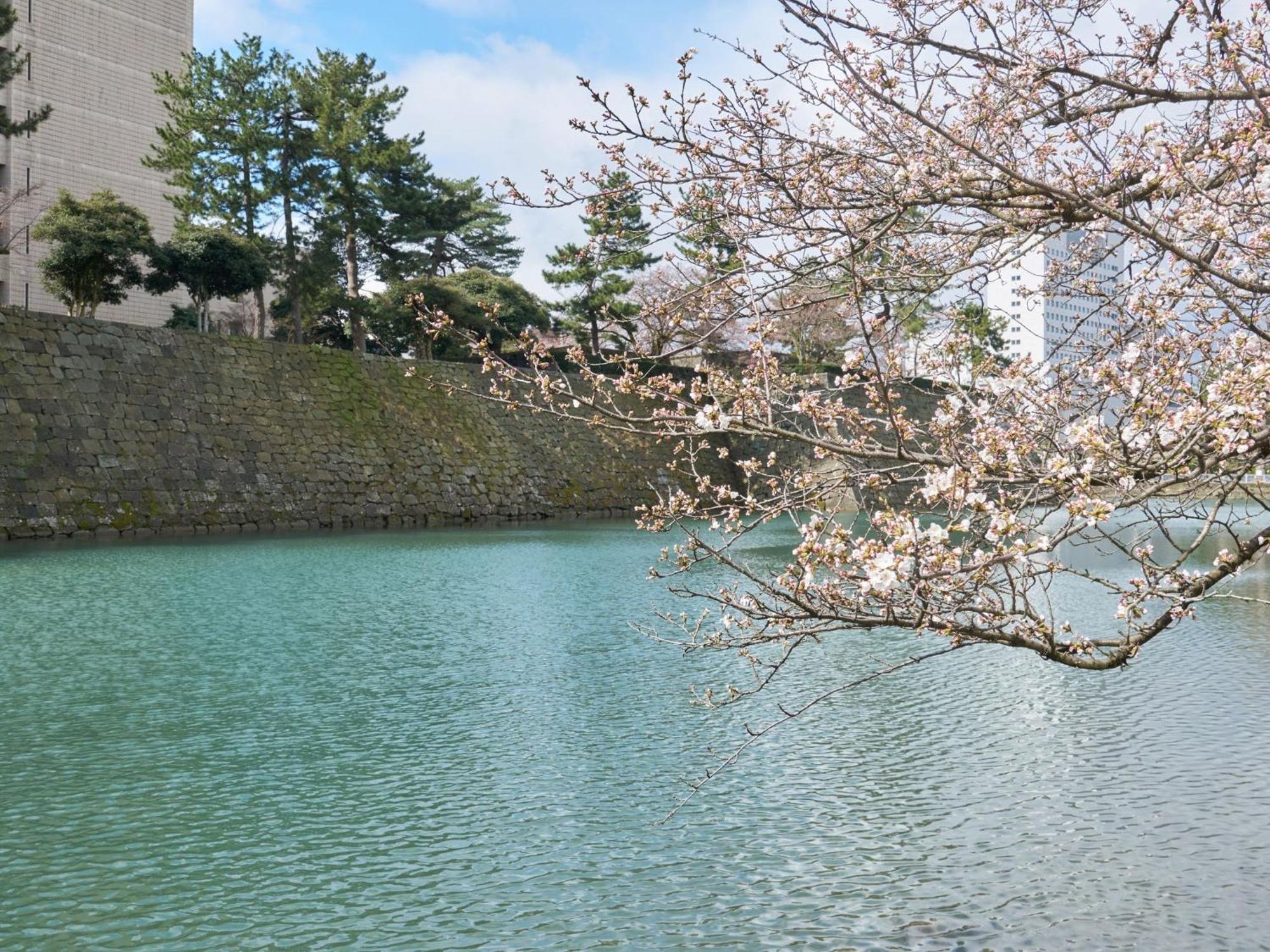 Hotel Fukui Castle - Vacation Stay 58696V Eksteriør billede
